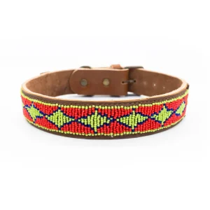 Collar para perros Malaui