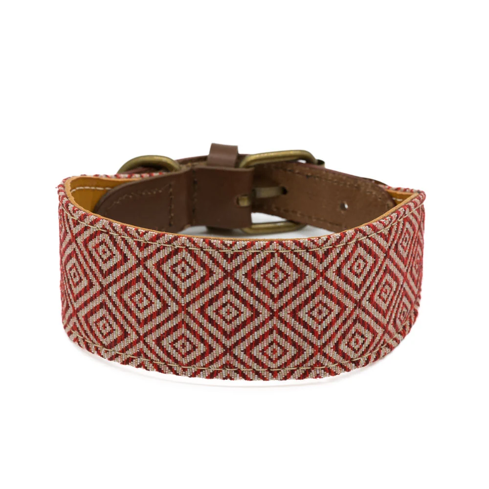 Collar para perros Mambo Galgo