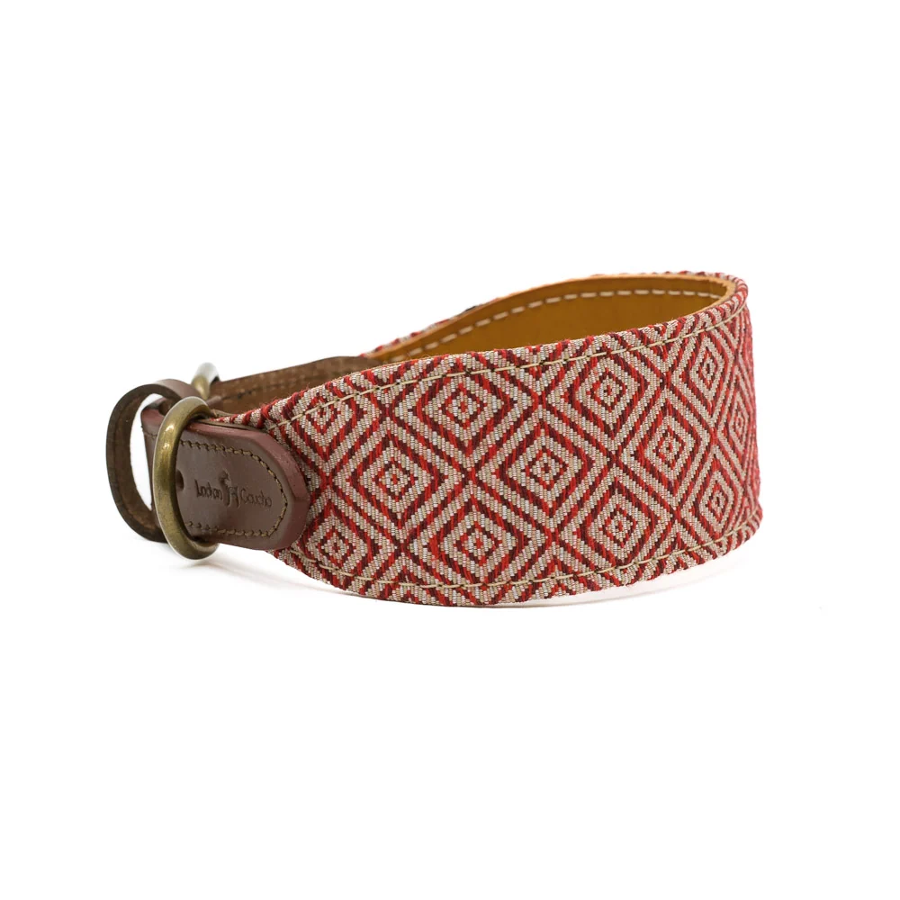 Collar para perros Mambo Galgo - Imagen 4