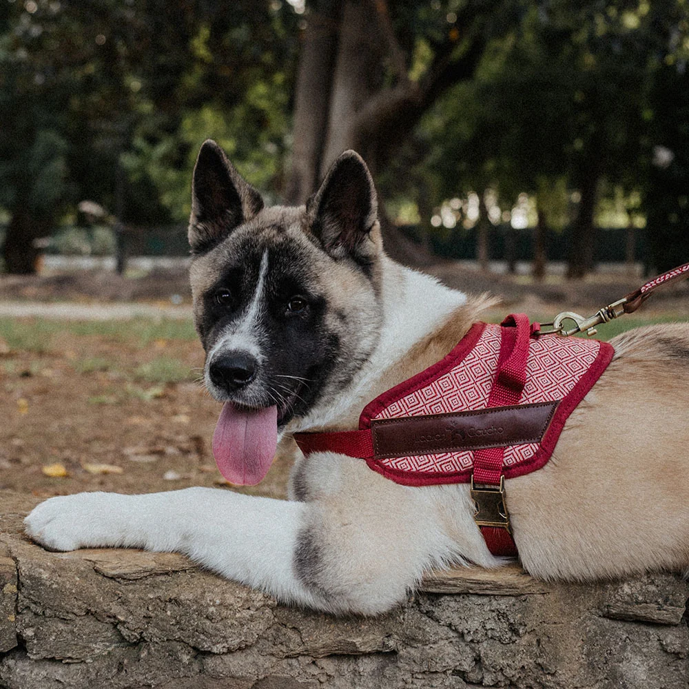 Arnés para perros de seguridad Mambo - Imagen 7
