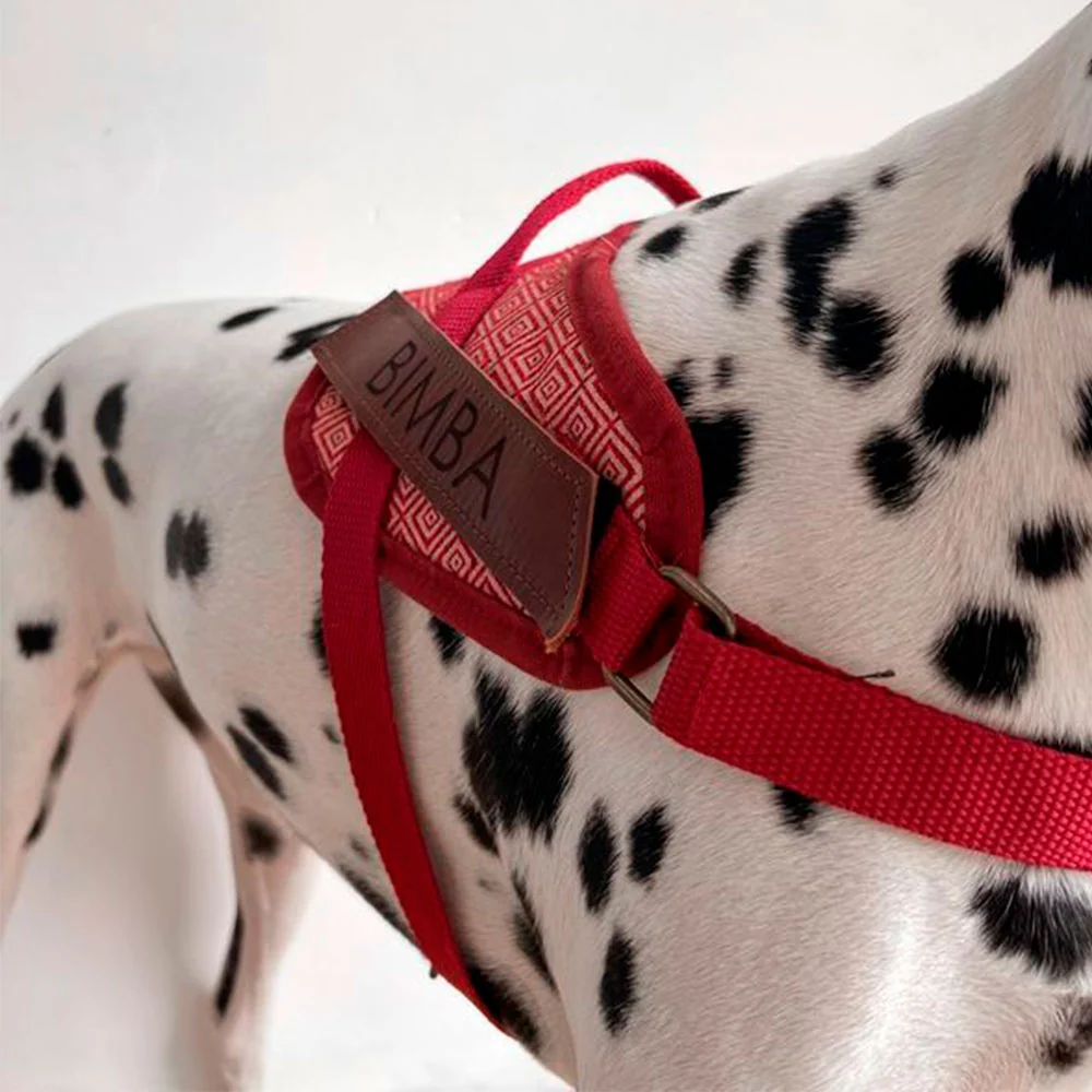 Arnés para perros de seguridad Mambo - Imagen 6