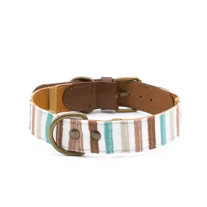 Collar para perros Max