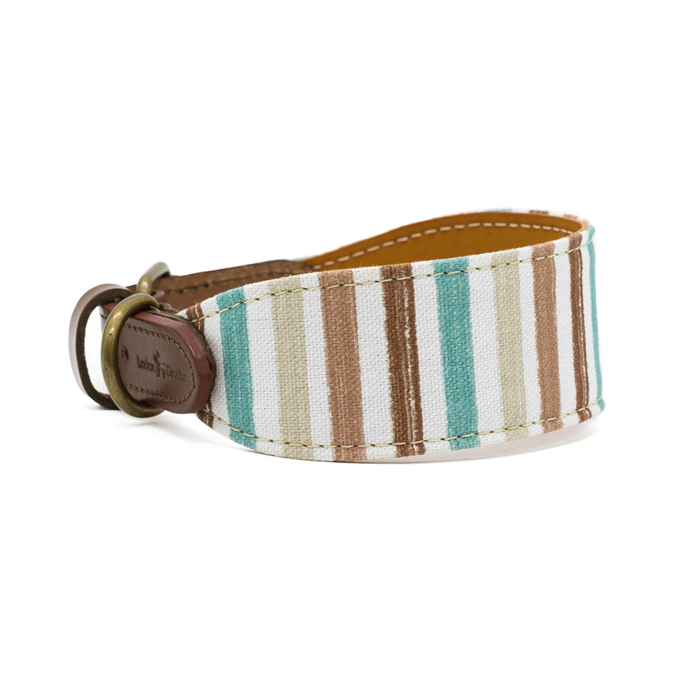Collar para perros Max Galgo - Imagen 4