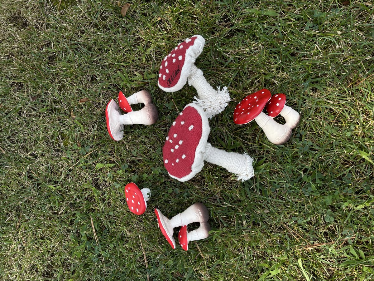 Spotty the Mushroom - Mushrooms - Imagen 5