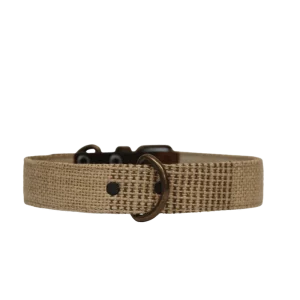 Collar para perros neutro (outlet)