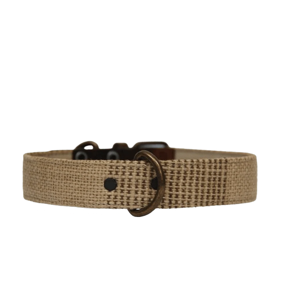 Collar para perros neutro (outlet) - Imagen 2