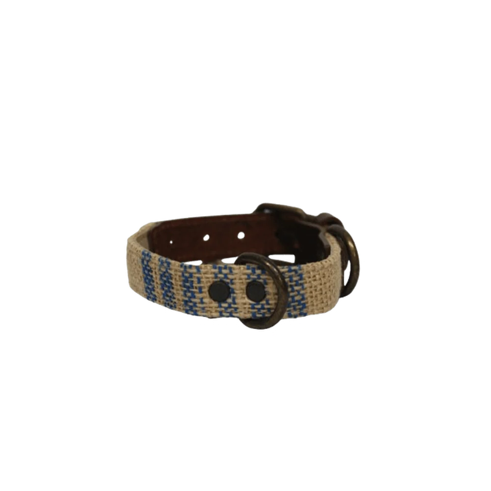 Collar para perros neutro con detalles azules (outlet) - Imagen 2