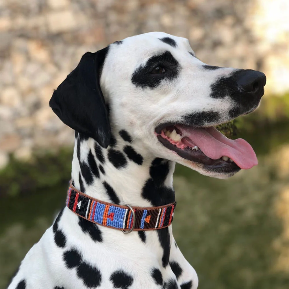 Collar para perros Nigeria - Imagen 3