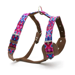 Arnés para perros Órale