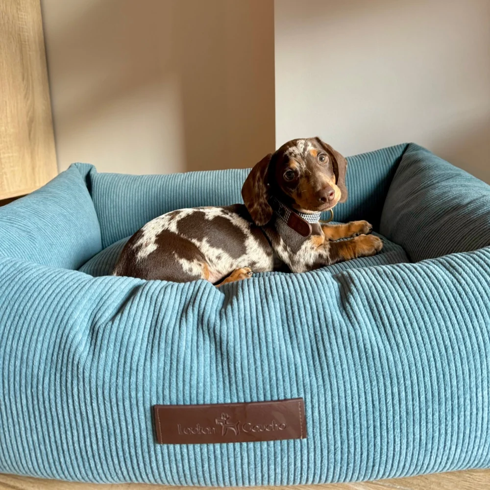 Cama de pana para perros Nube - Imagen 3