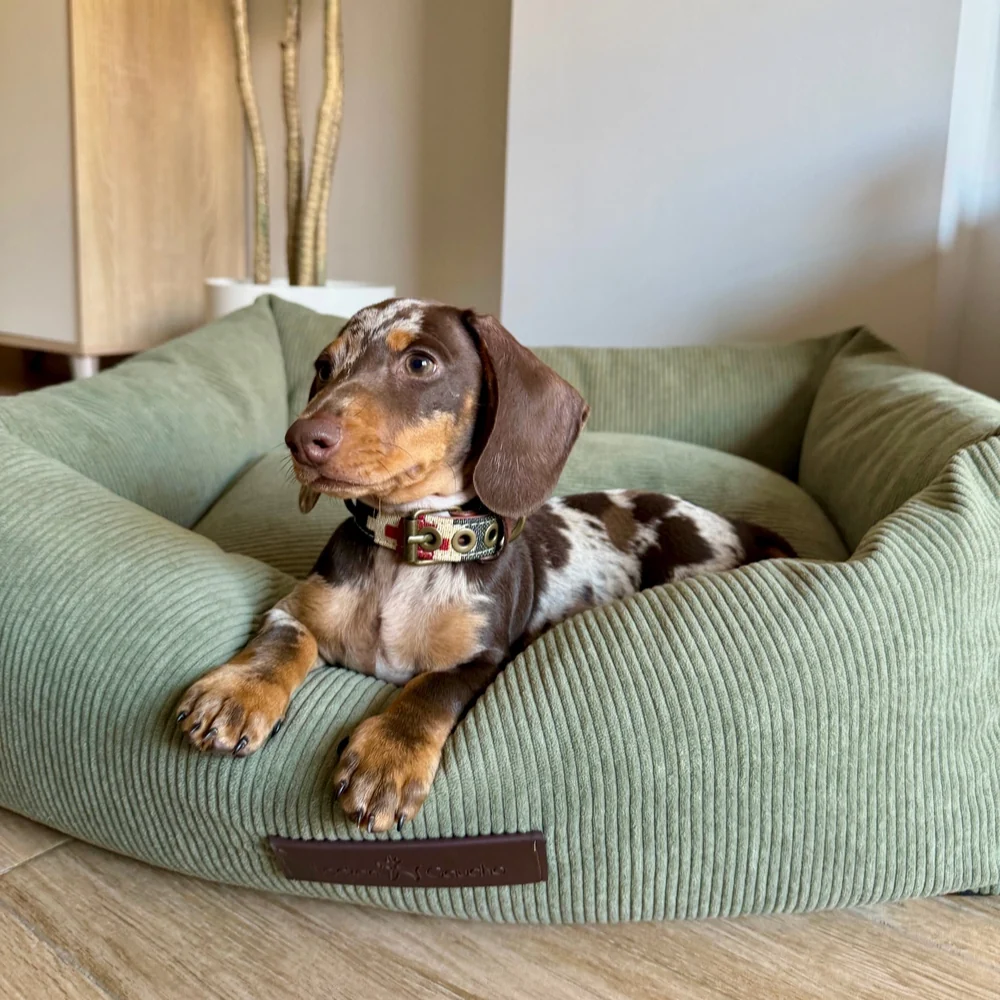 Cama de pana para perros Pradera - Imagen 4