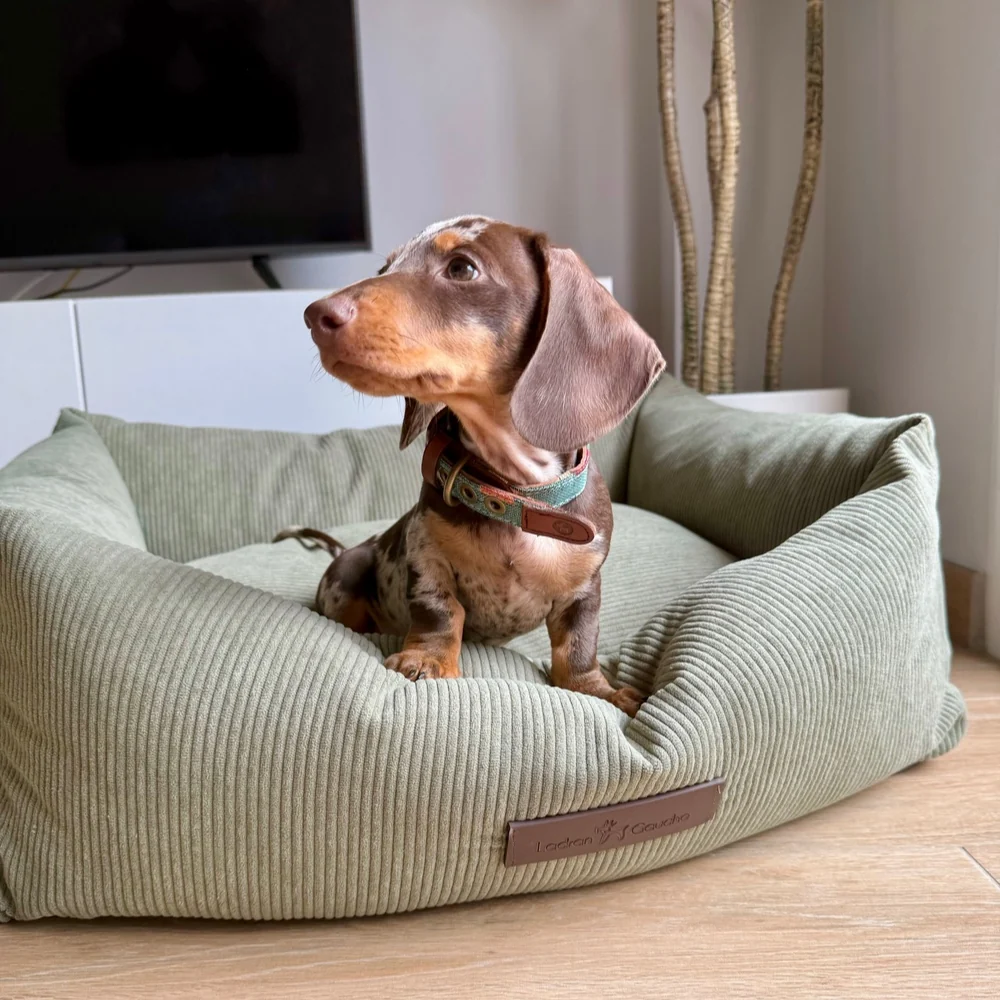 Cama de pana para perros Pradera - Imagen 6