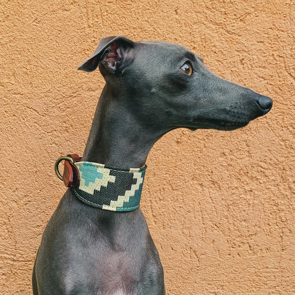 Collar para perros Pluto Galgo - Imagen 3