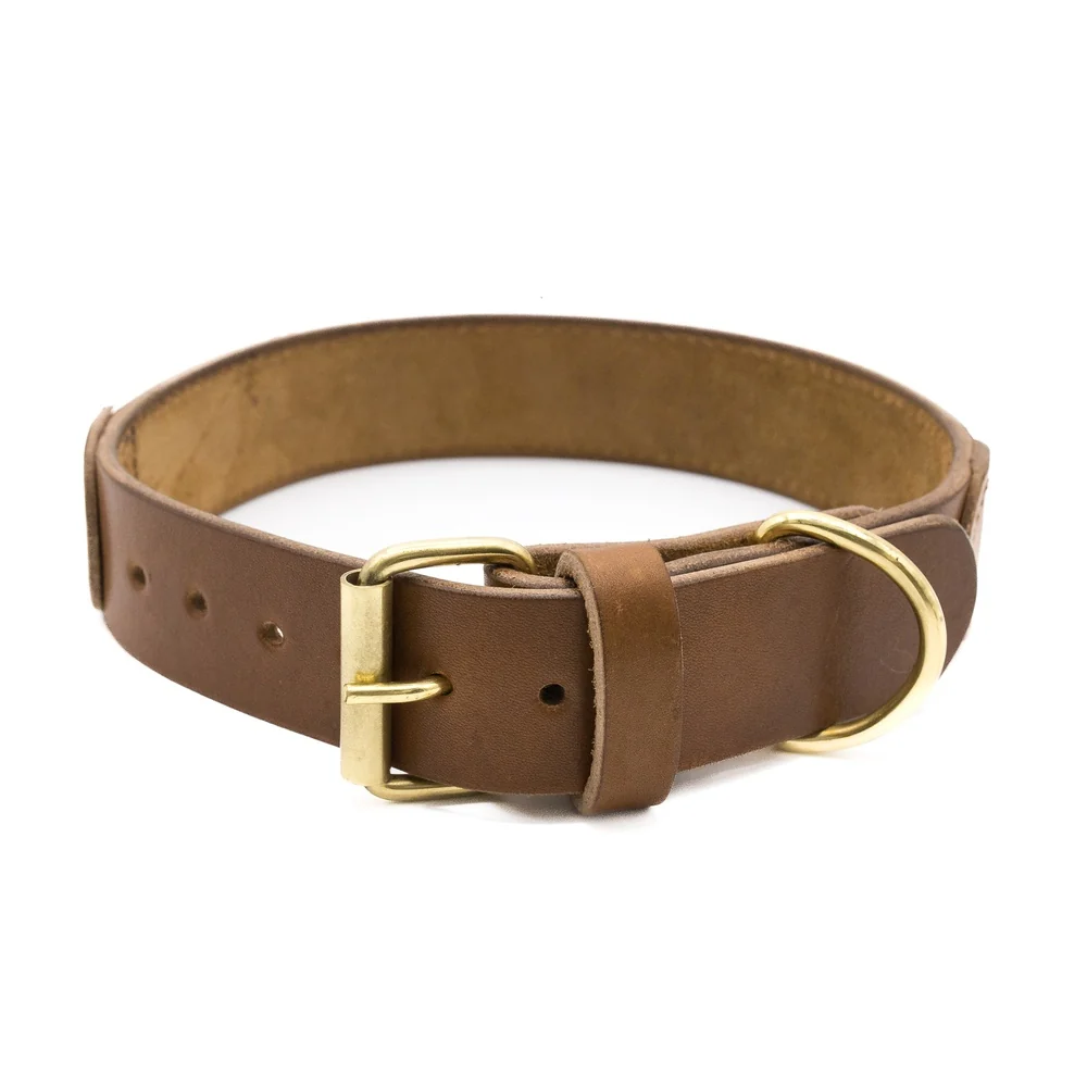 Collar para perros Safari - Imagen 6