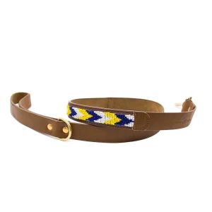 Correa para perros Safari