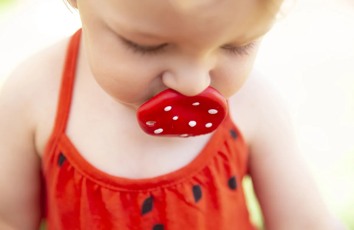 Spotty the Mushroom - Mushrooms - Imagen 8