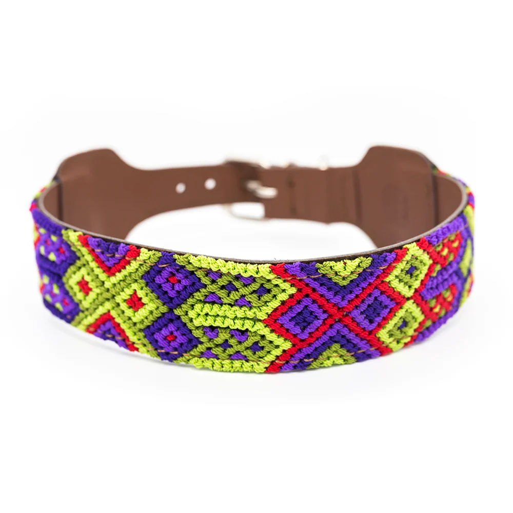 Collar para perros Taco