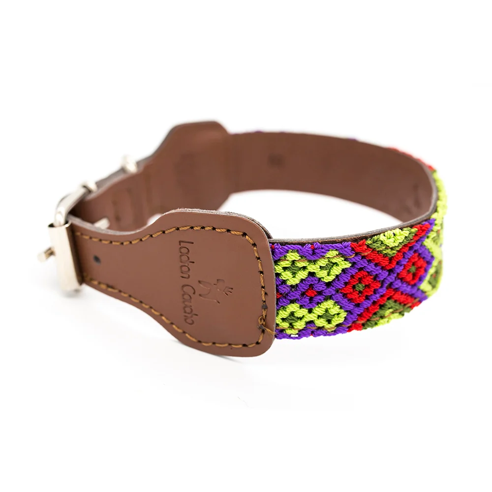 Collar para perros Taco - Imagen 4