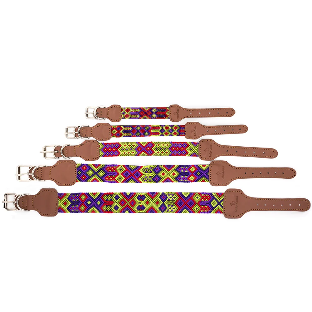 Collar para perros Taco - Imagen 5