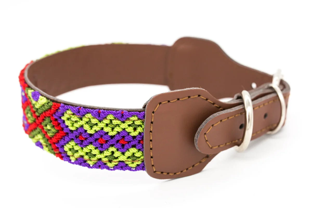 Collar para perros Taco - Imagen 6