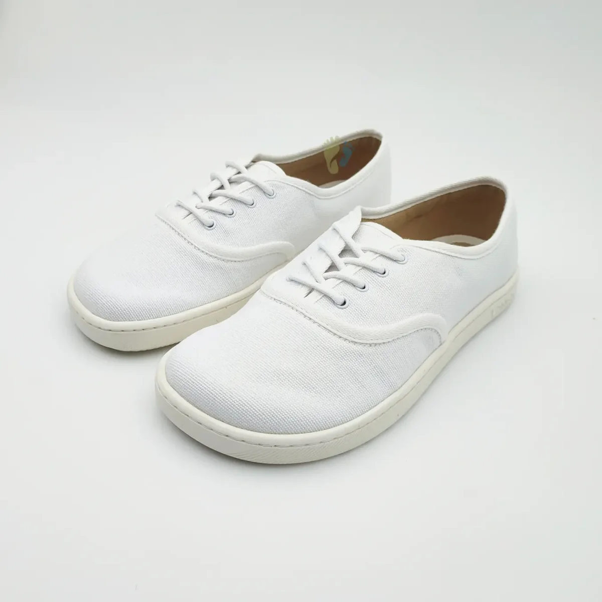 LANG.S Lonas Reed White - Imagen 5