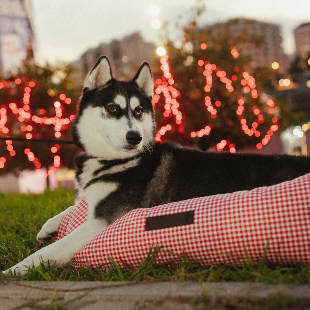 Cama para perros Impermeable Vichy Rojo - Imagen 3