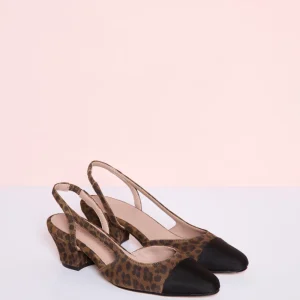 Zapato Bri Bri Animal Print