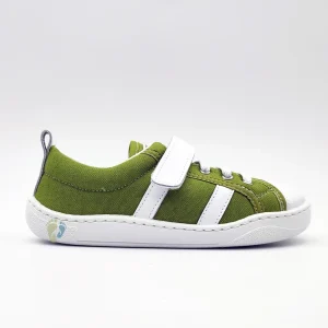 Zapy Zapatilla Cerceta Verde