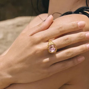 Anillo Salina