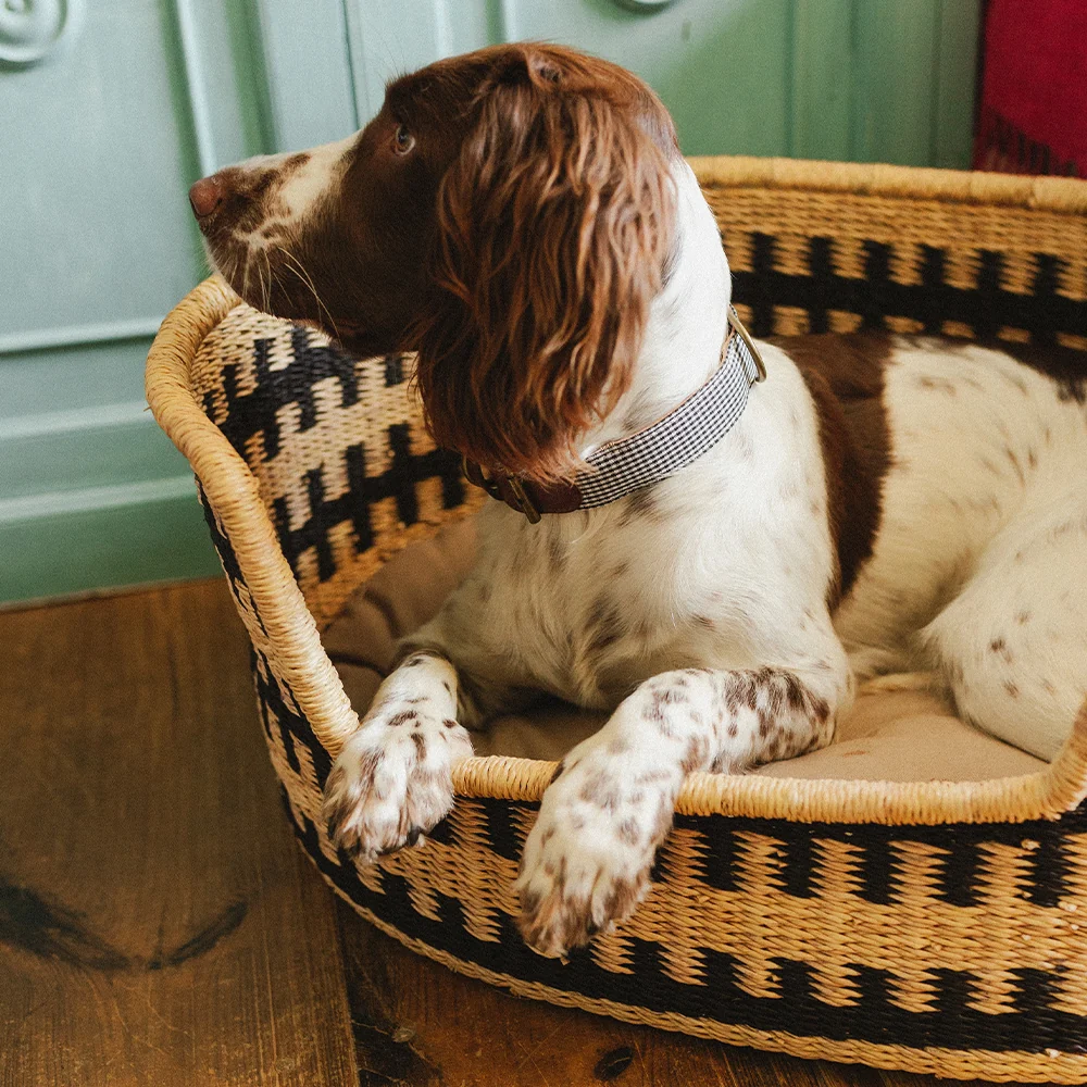 Cama para perros Cesta Pumba - Imagen 3