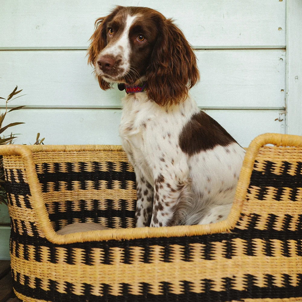 Cama para perros Cesta Pumba - Imagen 5