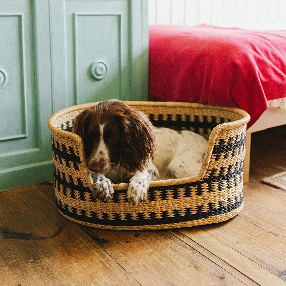 Cama para perros Cesta Pumba - Imagen 6