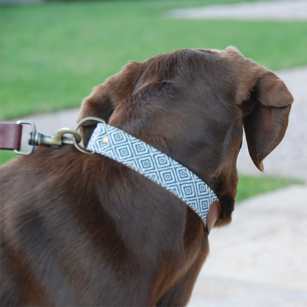 Collar para perros Dalton - Imagen 3