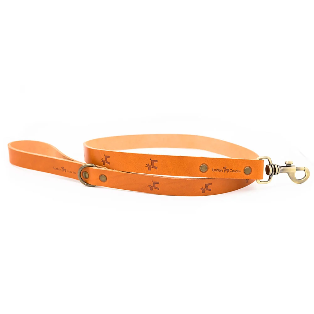 Correa para perros Cuero Premium Clasic - Imagen 2