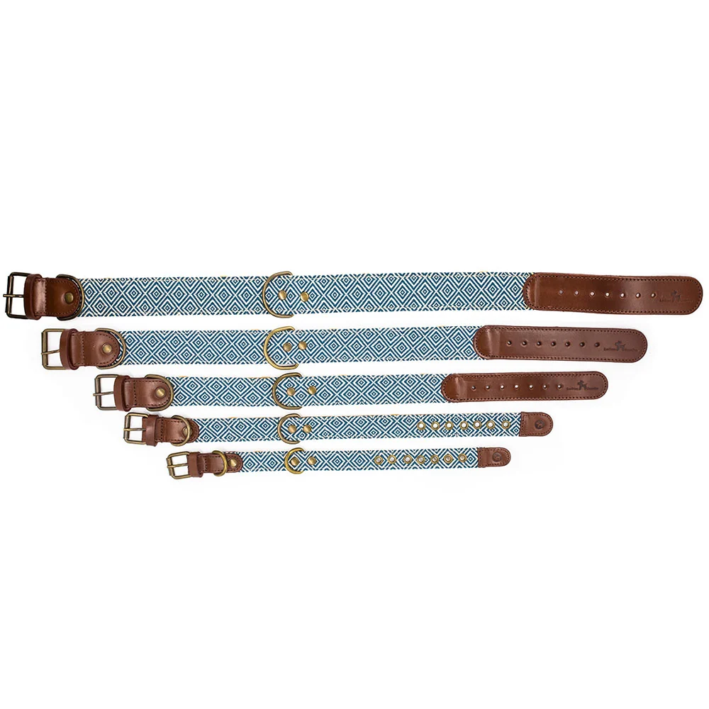 Collar para perros Dalton - Imagen 5