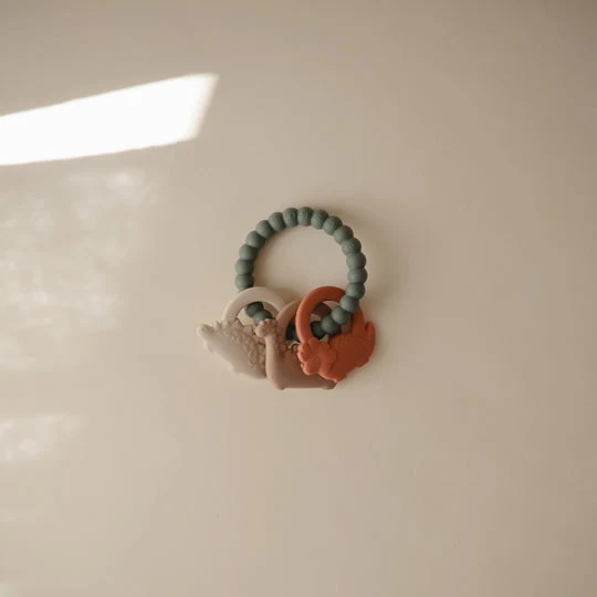 Mordedor silicona Ring Dino- MUSHIE - Imagen 8