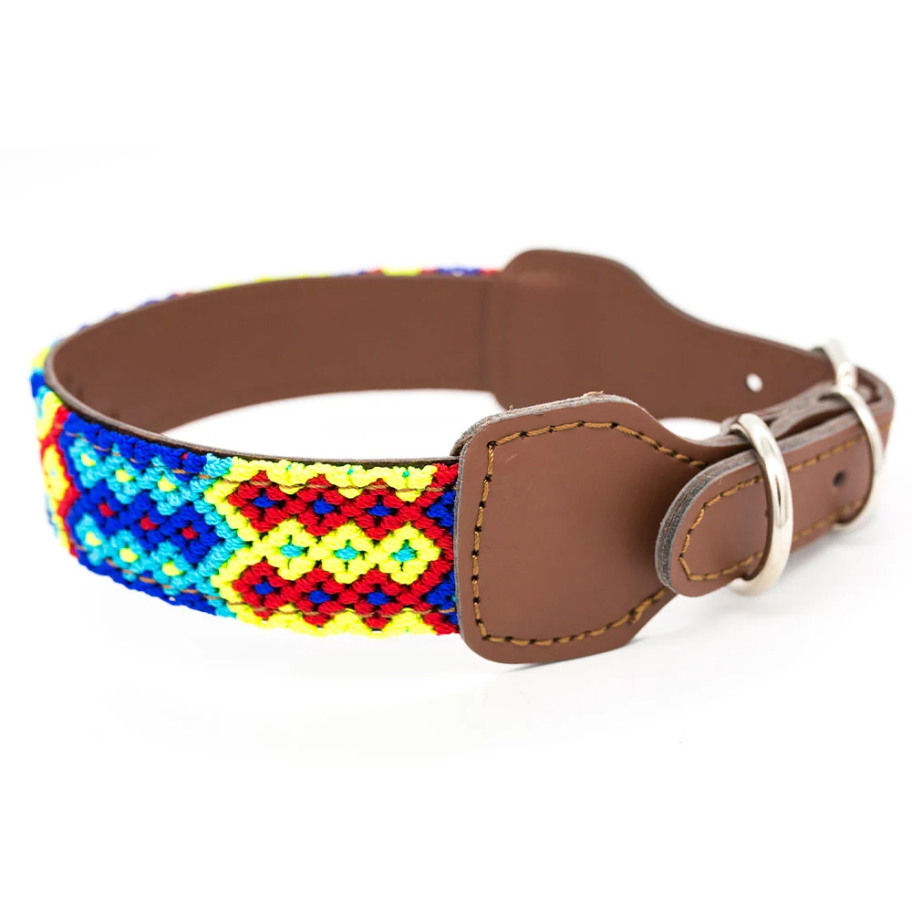 Collar para perros Frijol - Imagen 6