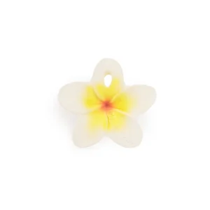 HAWAII THE FLOWER- Chewy-to-Go
