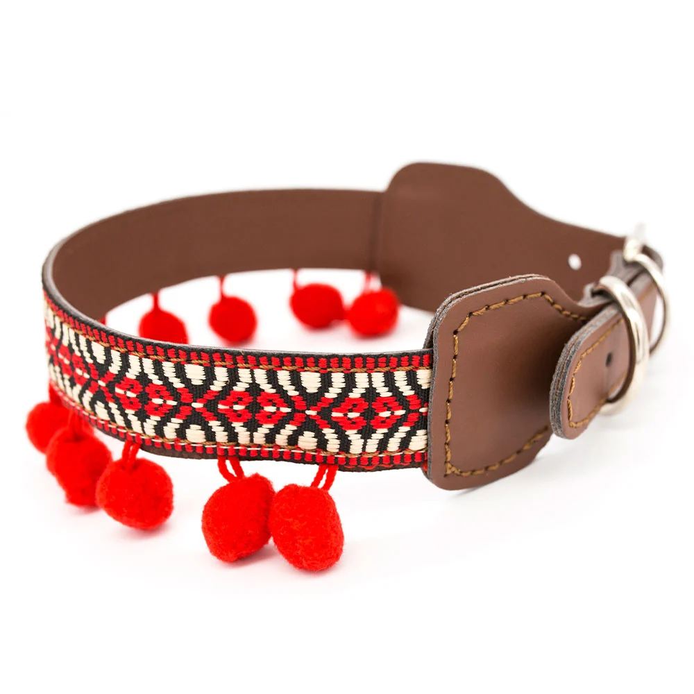 Collar para perros Frida - Imagen 6