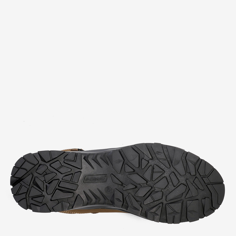 Labrador BOA 01 - Imagen 8