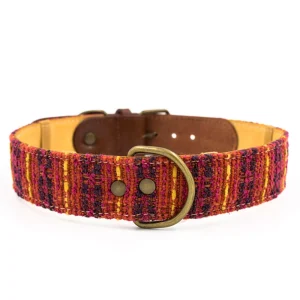 Collar para perros Luca