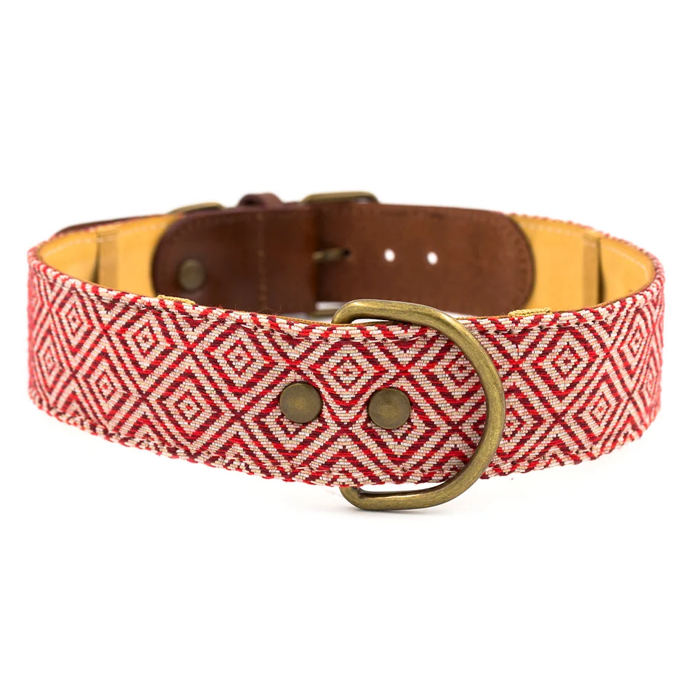 Collar para perros Mambo - Imagen 2