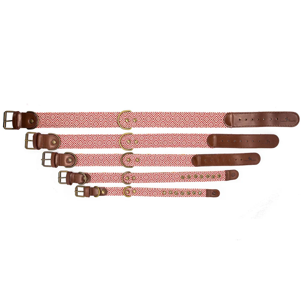 Collar para perros Mambo - Imagen 5