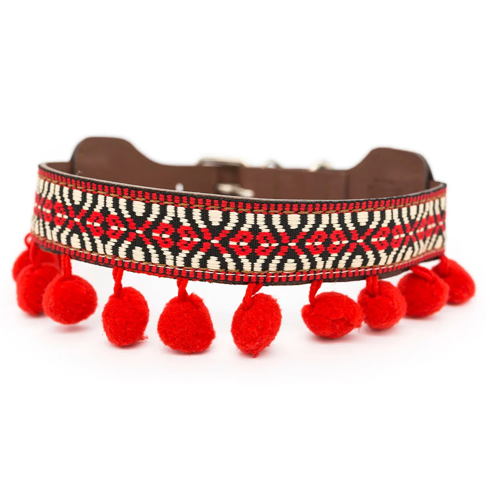 Collar para perros Frida - Imagen 2