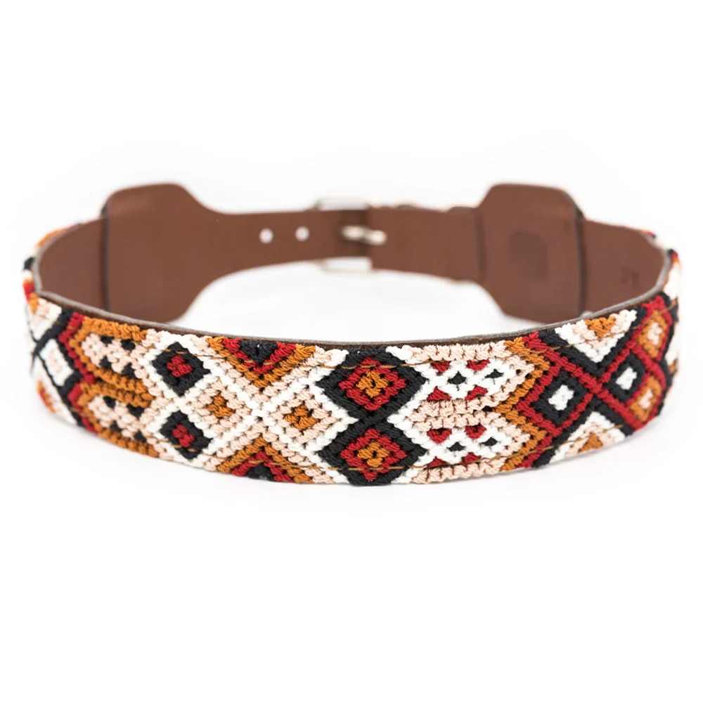 Collar para perros Chavo - Imagen 2