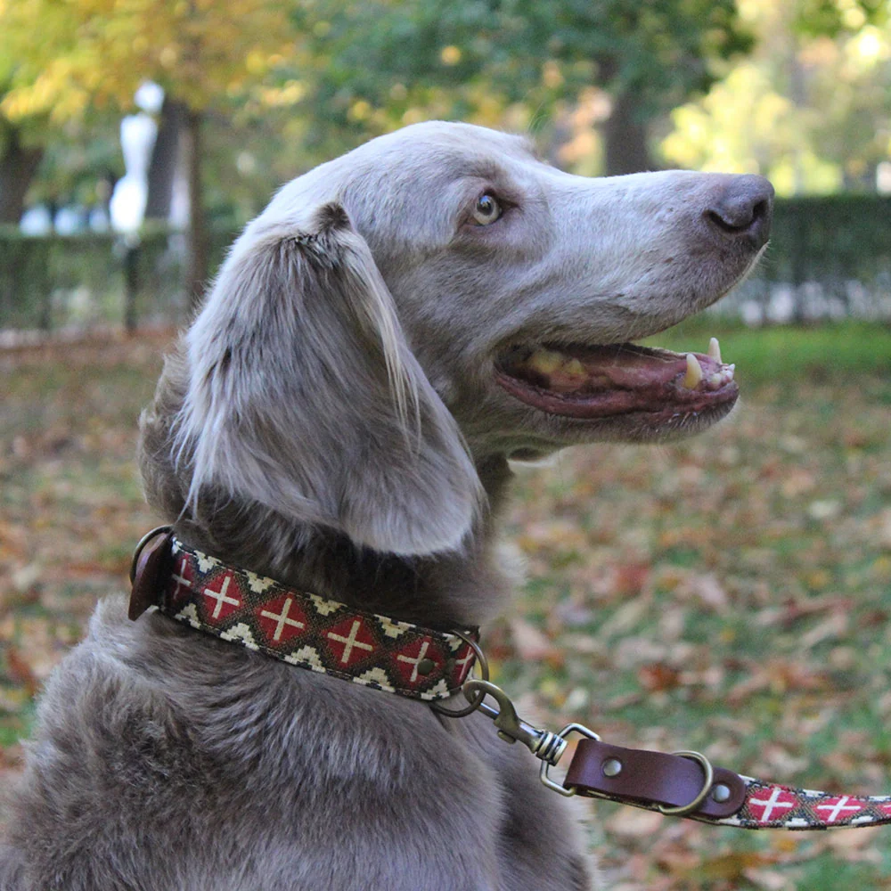 Collar para perros Milu - Imagen 3