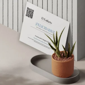 Regala 6 meses de Privilegio Estilario