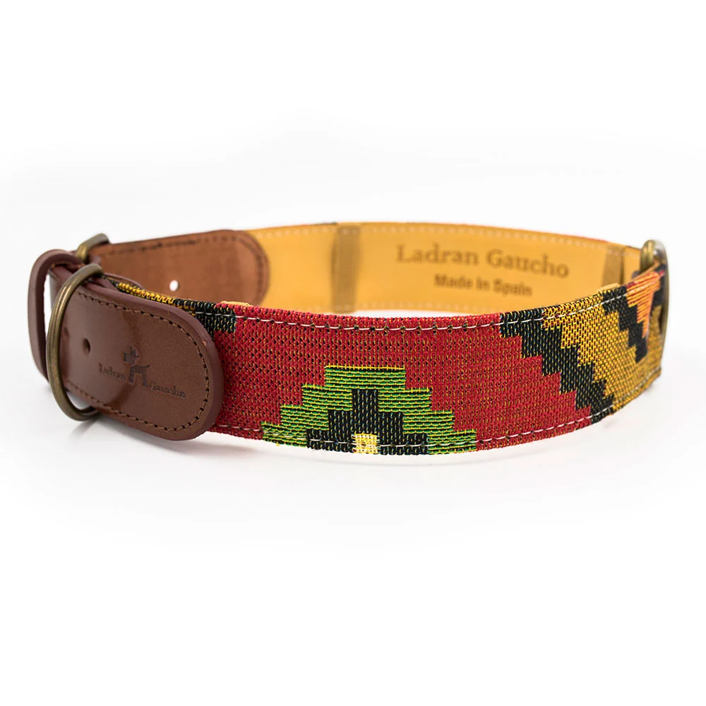 Collar para perros Scooby - Imagen 4