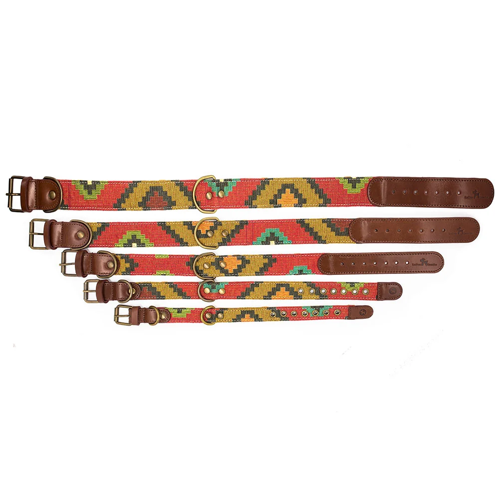 Collar para perros Scooby - Imagen 5