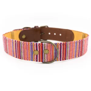 Collar para perros Toby